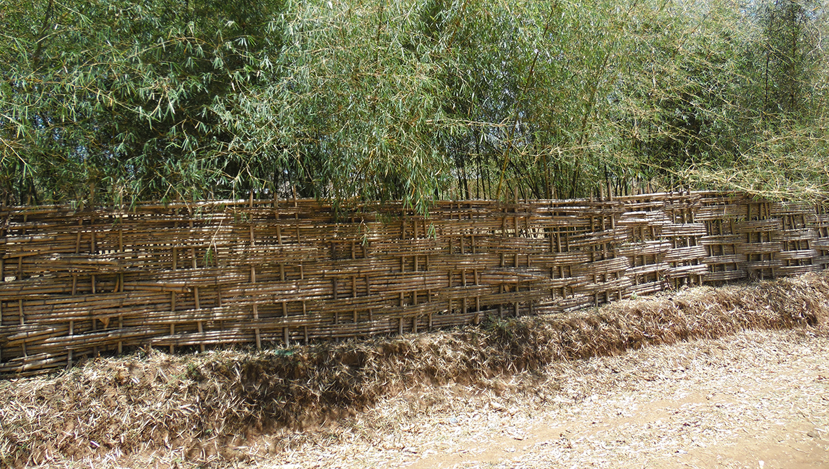 Ethiopia house fence