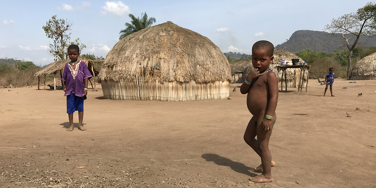 Warka House